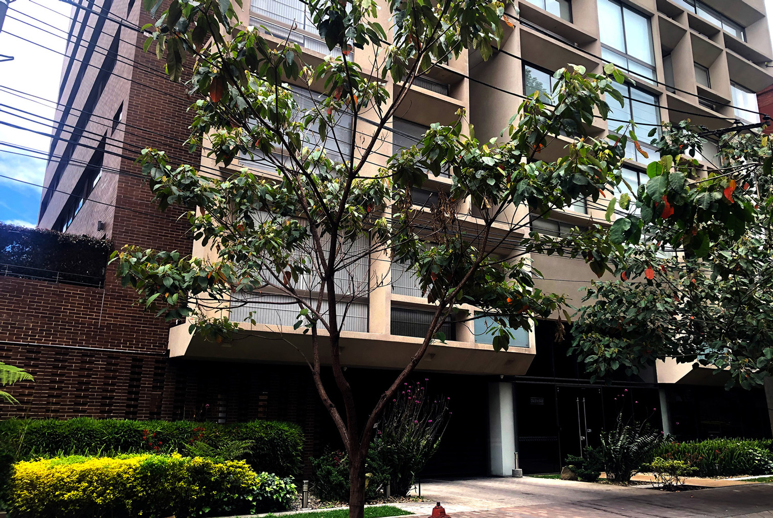 placeholder image-sq