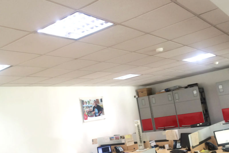 placeholder image-sq